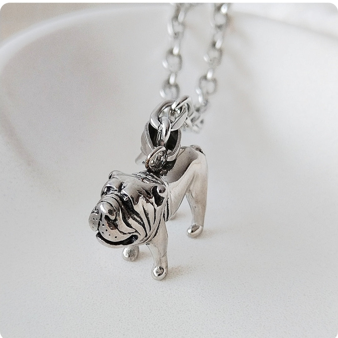 Collier chien