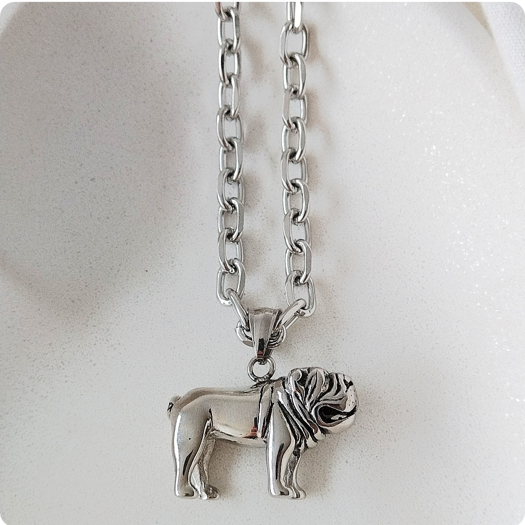 Collier chien