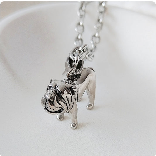 Collier chien